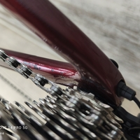 Giant Defy Pro Disc Ultegra Di2 Fulcrum | M/L
