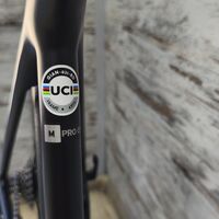 Giant TCR Pro 0 SRAM Force AXS D1 Powermeter DT Swiss Performance | M