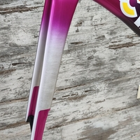 Карбонова рамка Cinelli Pressure II Team Colpack Disc | L