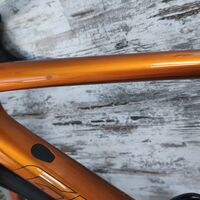 Giant TCR Pro 0 SRAM Force AXS D1 Powermeter DT Swiss Performance | M