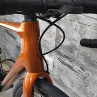 Giant TCR Pro 0 SRAM Force AXS D1 Powermeter DT Swiss Performance | M