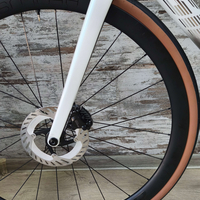 Giant Defy Pro 1 Disc 105 Di2/Ultegra Aeolus Pro 37 Tubeless | S