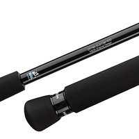 Zetrix Hayron 2-nd Edition Spinning