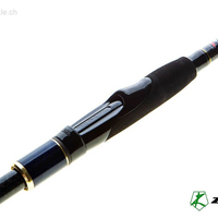 Zetrix Avalanche Spinning