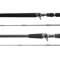 Zetrix Hayron Live Sonar & Swimbait Edition