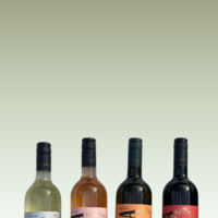 Wine  and Tapas: Изкуството на дегустацията