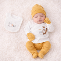 Комплект от 5 части Лисица