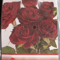 Храстовидна роза на гол корен