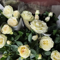 Rosa Mini (Мини стайна роза)