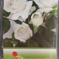 Храстовидна роза на гол корен