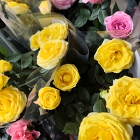 Rosa Mini (Мини стайна роза)