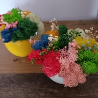 Кашпа със скандинавски мъх микс