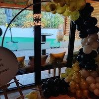 Арка с балони и статив - златно и черно