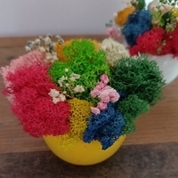 Кашпа със скандинавски мъх микс