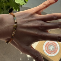 Nómada  Dorada / Golden Nomad