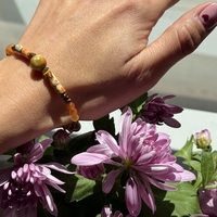 Nómada  Dorada / Golden Nomad