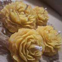 Ръчно изработена свещ от пчелен восък „Цъфнал Божур“ (в подаръчна кутия)