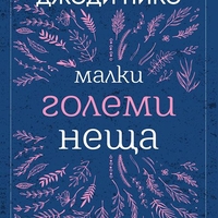 Малки големи неща - Джоди Пико