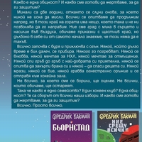 Победителите - книга 3 - Бьорнстад - Фредрик Бакман