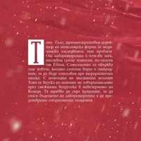 Снежна вихрушка - Кен Уилбър