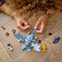 LEGO® NINJAGO® Младият дракон Риу 71810