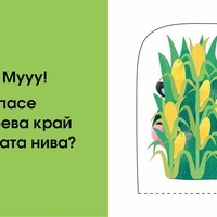 Кой се крие тук? Във фермата