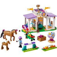 LEGO® Friends Тренировка с кон 41746