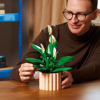 LEGO® Botanicals Спатифилум 11504