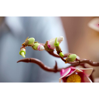 LEGO® Botanicals Клонки магнолия 11510