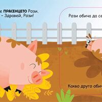 Кой какво обича