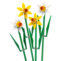 LEGO® Нарциси 40747