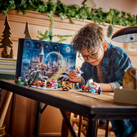 LEGO® Harry Potter™ Коледен календар 2025 г. 76456