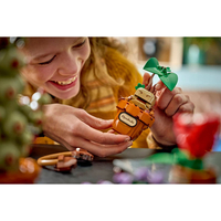 LEGO® Harry Potter™ Растения за часа по билкология в Хогуортс 76474