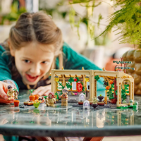 LEGO® Harry Potter™ Замъкът Хогуортс Час по билкология 76445