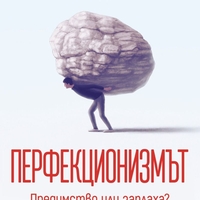 Перфекционизмът - Предимство или заплаха? - Огнян Димов