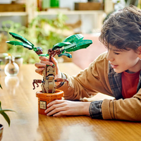 LEGO® Harry Potter™ Мандрагора 76433