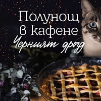 Полунощ в кафене Черният дрозд - Хедър Уебър