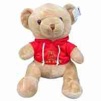 Плюшено мече Raya Toys С пуловер, 40 см