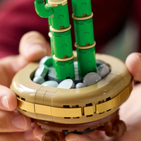 LEGO® Botanicals Бамбук за късмет 10344
