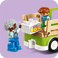 LEGO® DUPLO® Грижа за пчелите и кошерите 10419