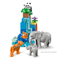 LEGO® DUPLO® Семействата на дивите животни „3 в 1“ 10446