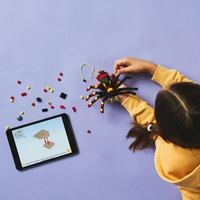 LEGO® Creator Диви животни Изненадващ паяк 31159