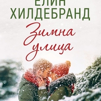 Зимна улица - Елин Хилдебранд