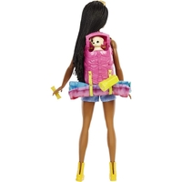 Кукла Mattel Barbie Camping Brooklyn Doll