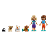 LEGO® Friends Забавен ден в аквапарка 42676