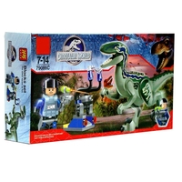 Конструктор Raya Toys В света на динозаврите, Асортимент