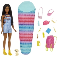 Кукла Mattel Barbie Camping Brooklyn Doll
