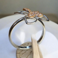 Златен пръстен