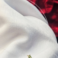 Колие на корда с природен Перидот в обков от 18К злато Gumon