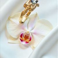 Златен пръстен 